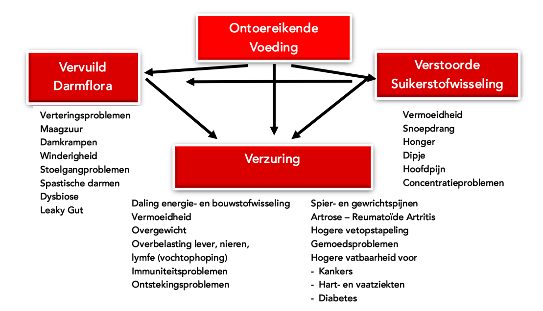 vragenlijst voedingsgewoonten